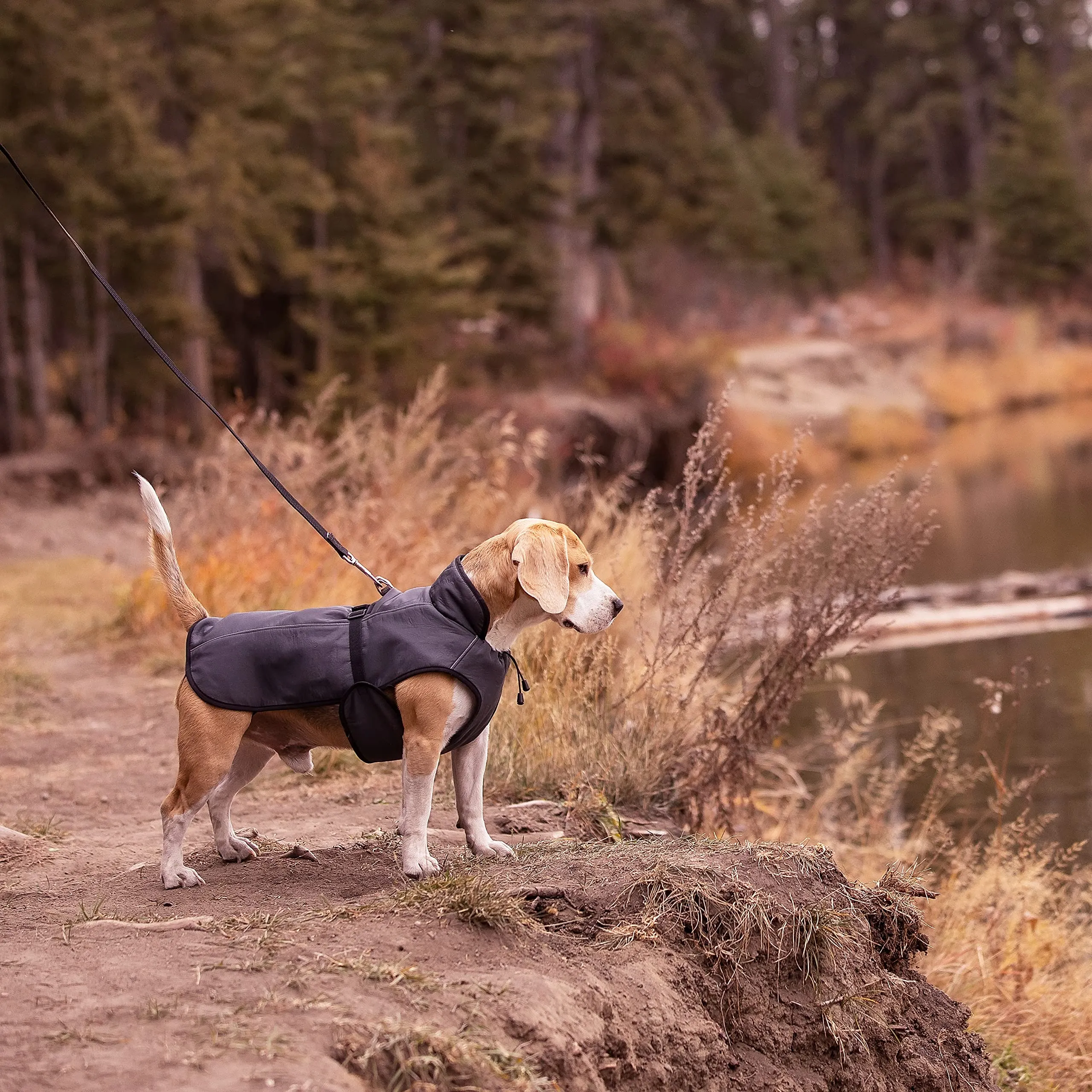 LUCOLOVE Dog Winter Coat - Waterproof Heat-Retaining Insulated Vest - Easy On/Off and Lightweight - for All Weather Conditions - Suits Very Small to Very Large Dog Breeds (3XL)