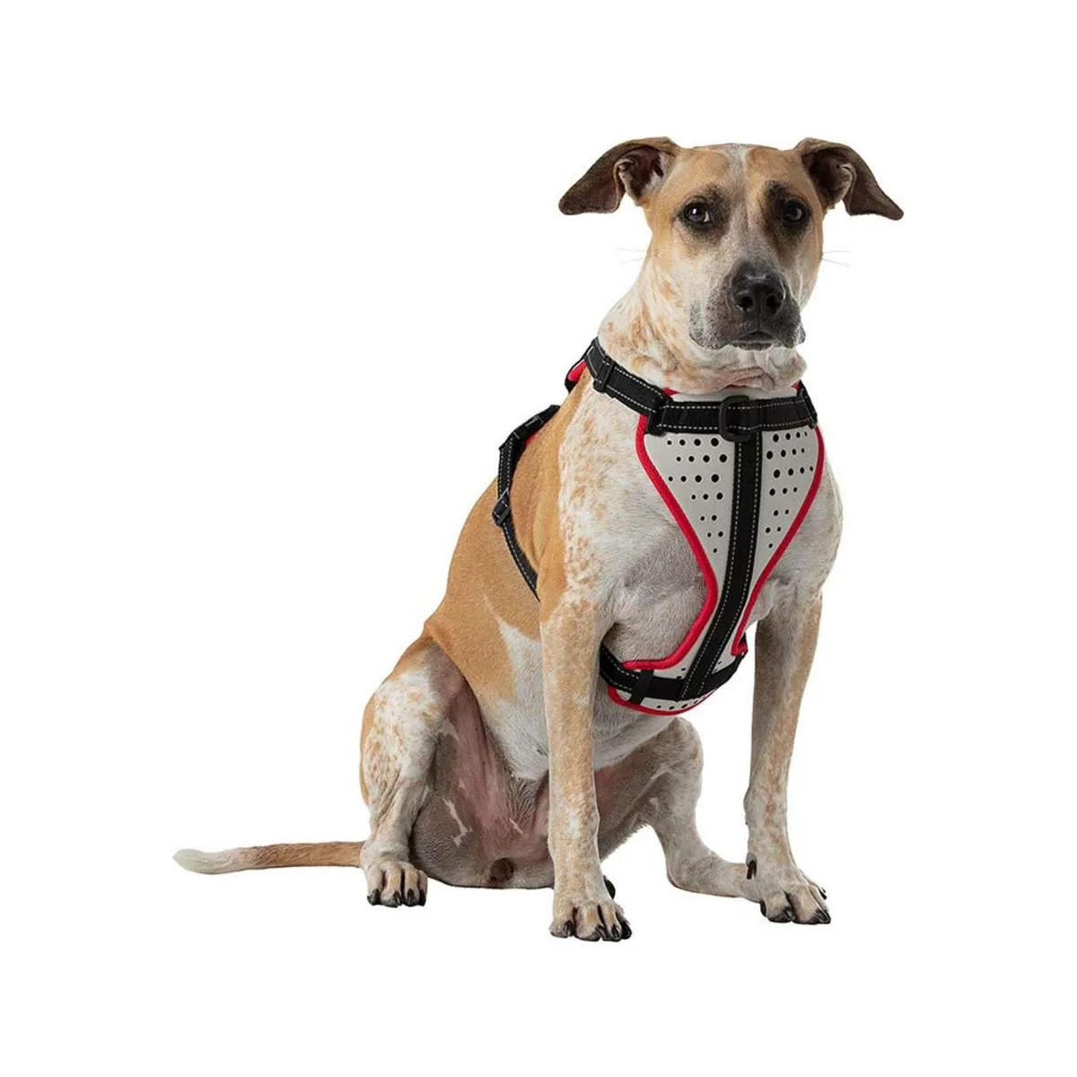 Nathan K9 Series Dog Harness Reflective