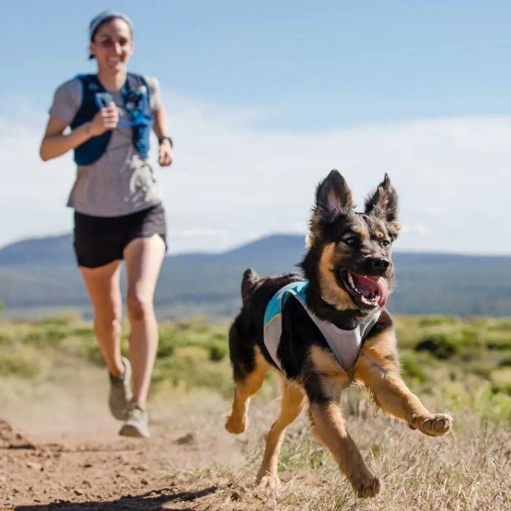 Ruffwear Jet Stream Lightweight Cooling Dog Vest (Blue Lagoon)